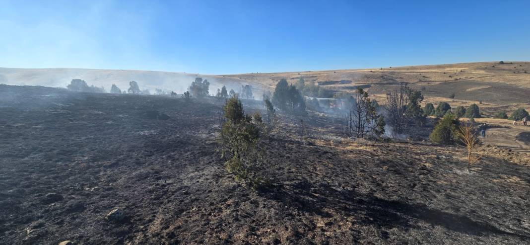 Konya’da piknikçi ateşi ormanı yaktı 1
